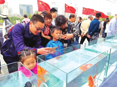 長假期間，有趣的活動吸引了市民圍觀