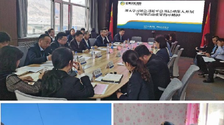 傳承雷鋒精神 奉獻青春力量——集團團委組織開展學雷鋒青年志愿服務(wù)月活動